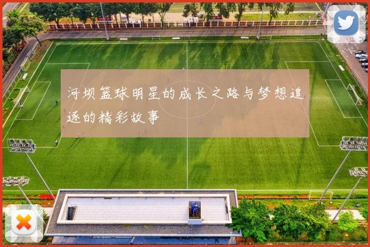 河坝篮球明星的成长之路与梦想追逐的精彩故事