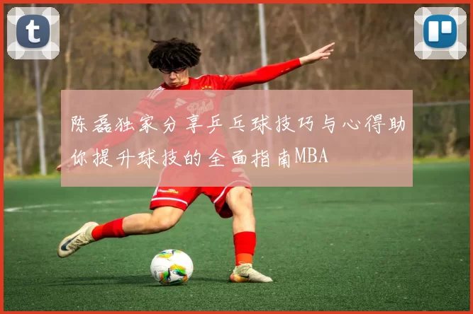 陈磊独家分享乒乓球技巧与心得助你提升球技的全面指南MBA