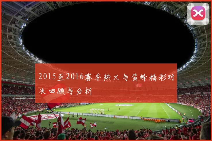 2015至2016赛季热火与黄蜂精彩对决回顾与分析