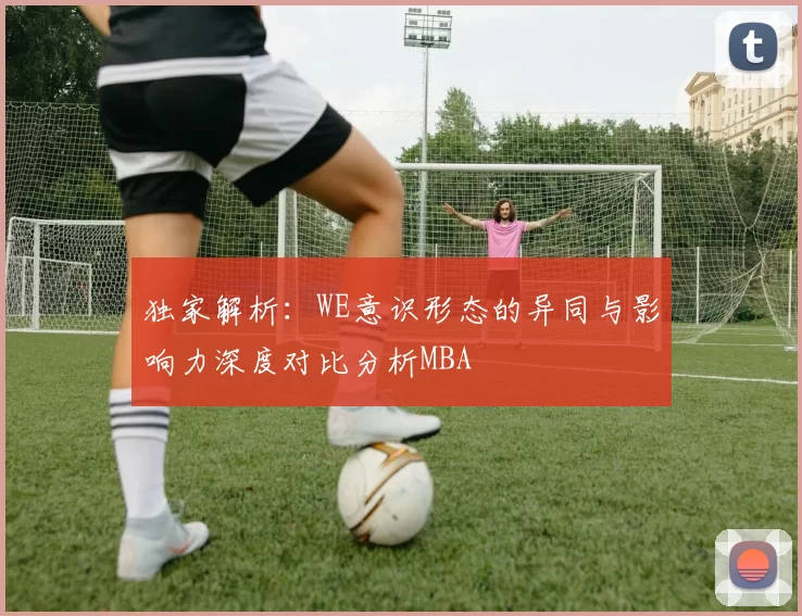 独家解析：WE意识形态的异同与影响力深度对比分析MBA